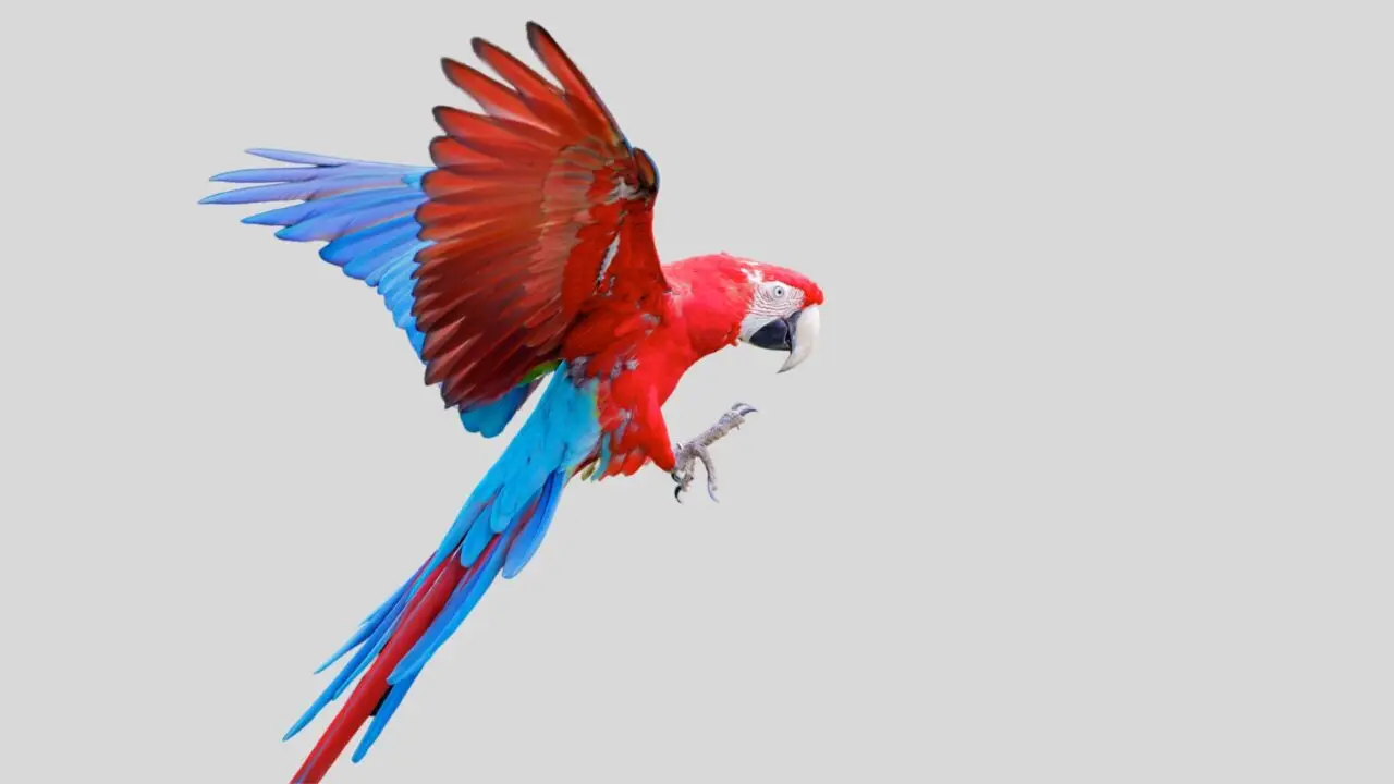 Wonders of Costa Rica