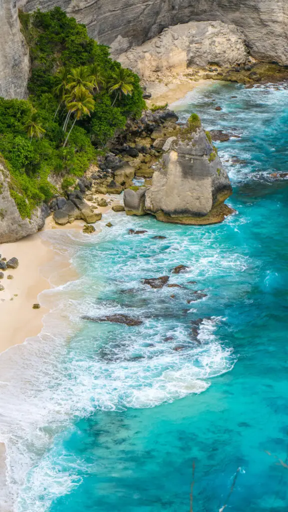 rock in the ocean with beautiful palms behind at a 2024 10 14 07 07 27 utc