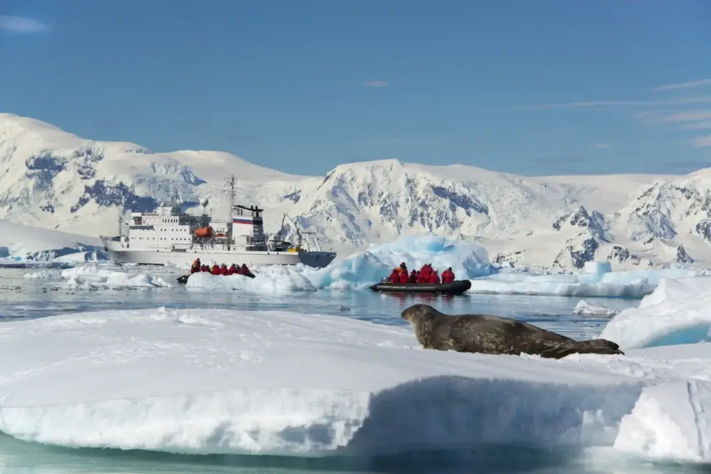 Zodiac boats approaching Antarctic ice near a resting seal
