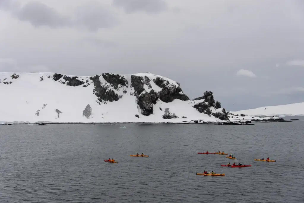 Kayaking In Antarctic Sea
