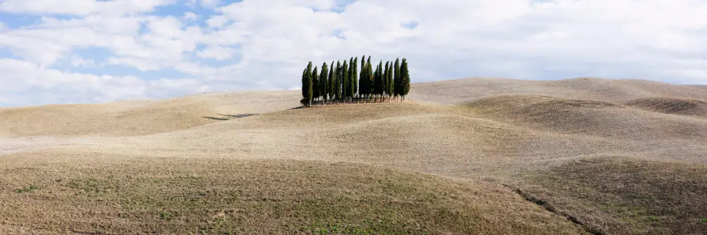Rolling Val d’Orcia hills with cypress trees in Tuscany