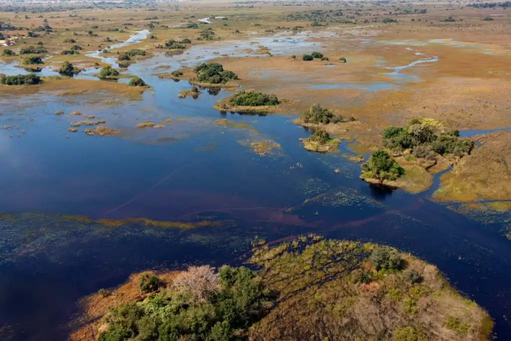 Aerial view of winding waterways across Botswana's Okavango Delta