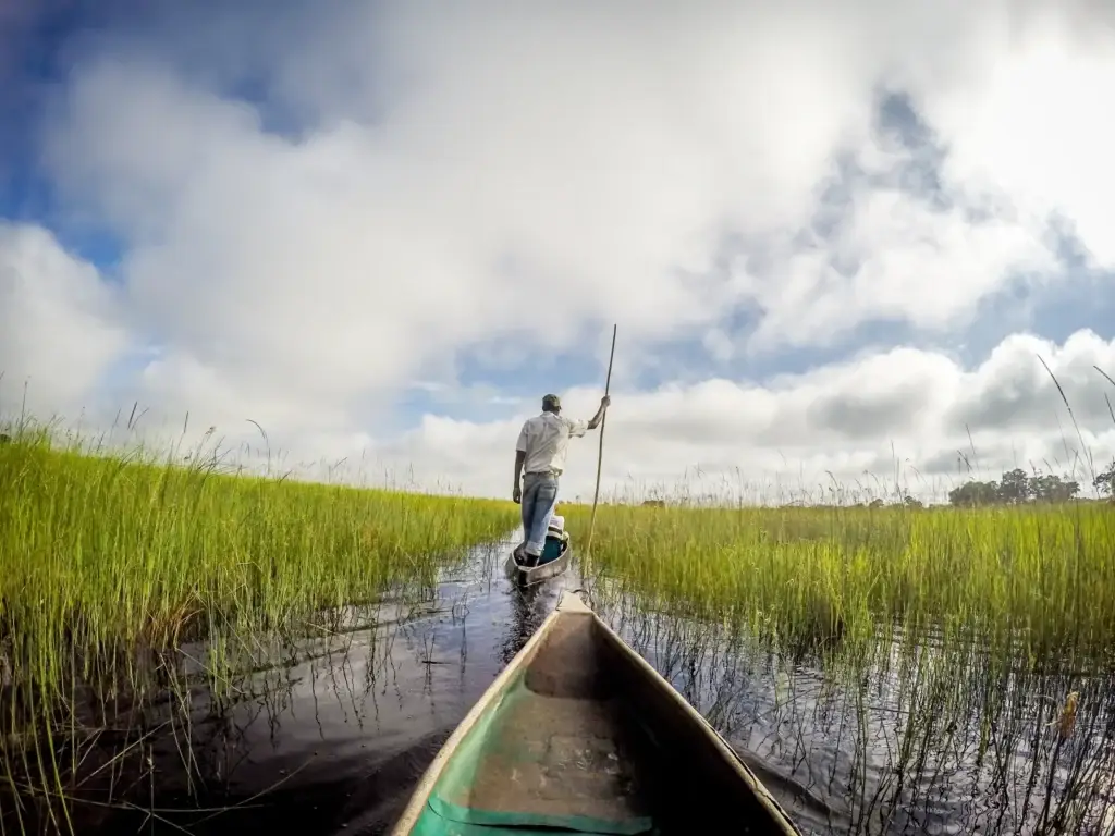 Mokoro canoe moving through a reed-lined channel in the Okavango Delta