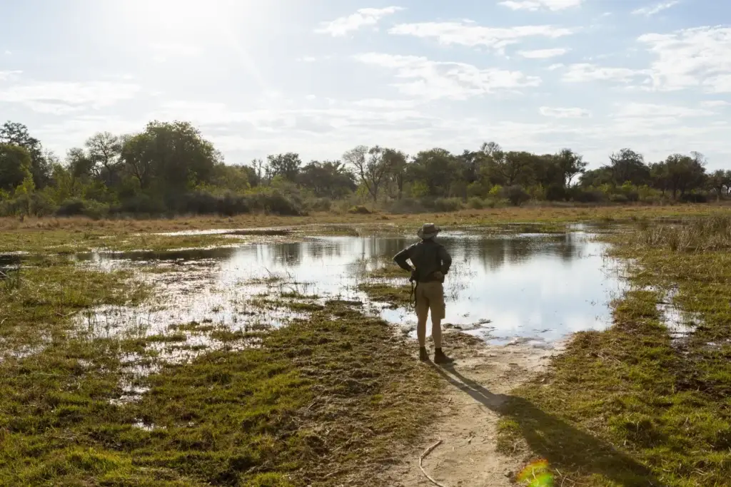 A safari guide on foot by a water pool, surveying the terrain.