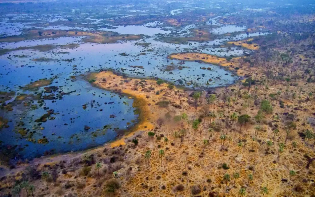 Aerial view of the Okavango wetlands and channels in Botswana