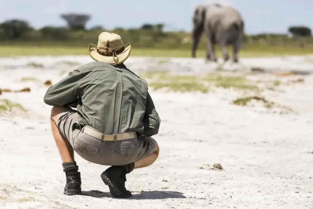 Safari guide observing an elephant in Nxai Pan, Botswana