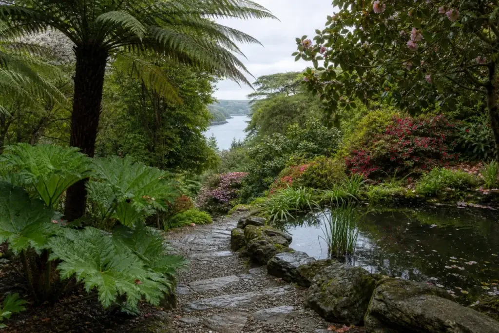 Sheltered Cornish maritime garden with tree ferns, gunnera, a pond and distant tidal water