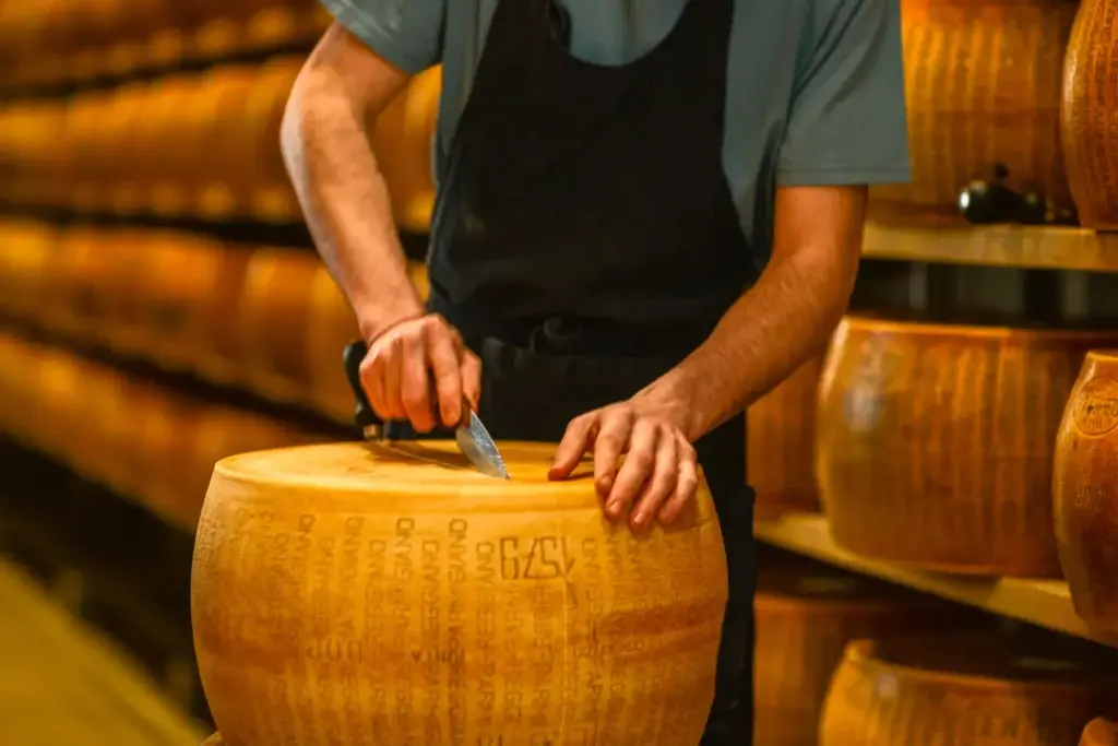 Cheese Maker Cutting Authentic Parmesan Wheel