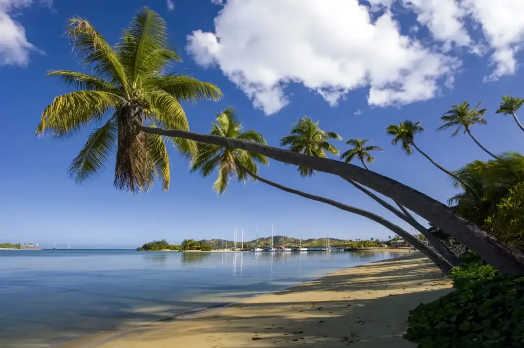 Palm-lined beach and calm blue water in Fiji’s Yasawa Islands