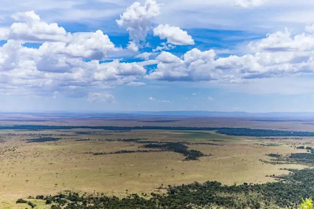 Wide view across the Maasai Mara landscape in Kenya
