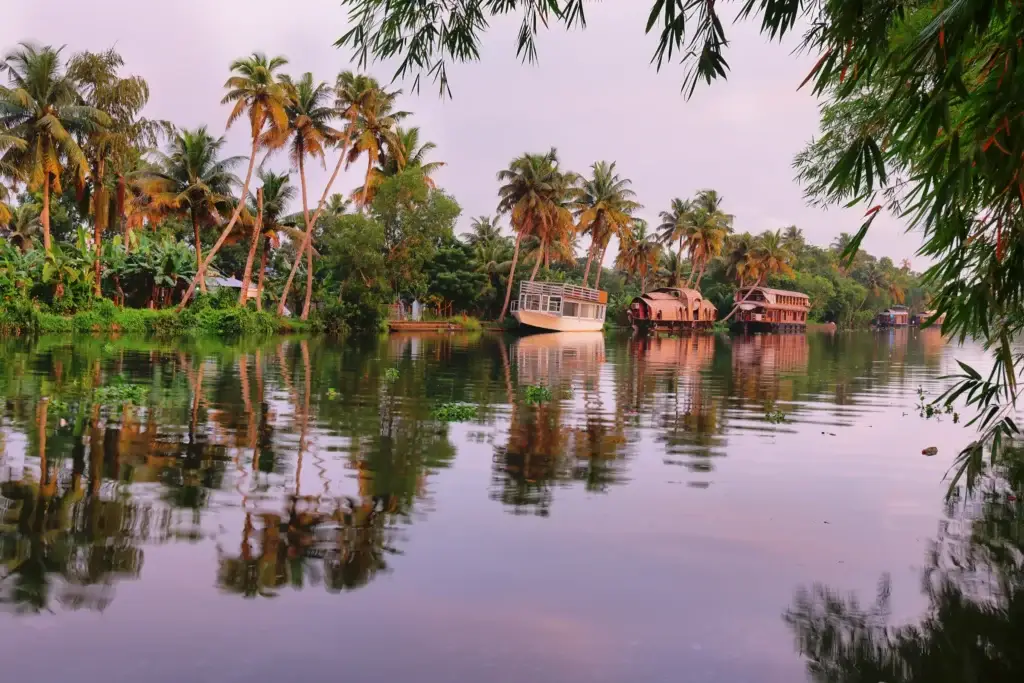 Palm-fringed Alleppey backwaters with houseboats at soft evening light