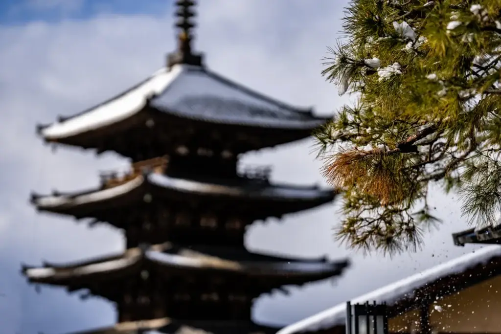 Tree with Snow Covered Yasaka Pagoda from Sannen Zaka Street in the old town district of Kyoto