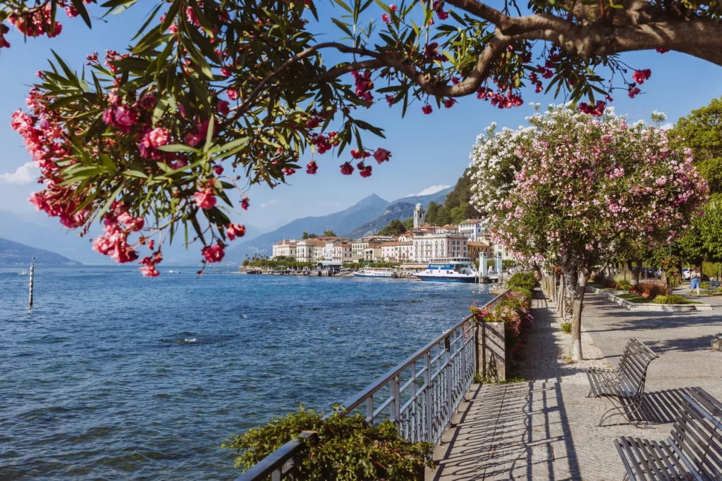 Bellagio's public lakeside promenade framed by flowering trees