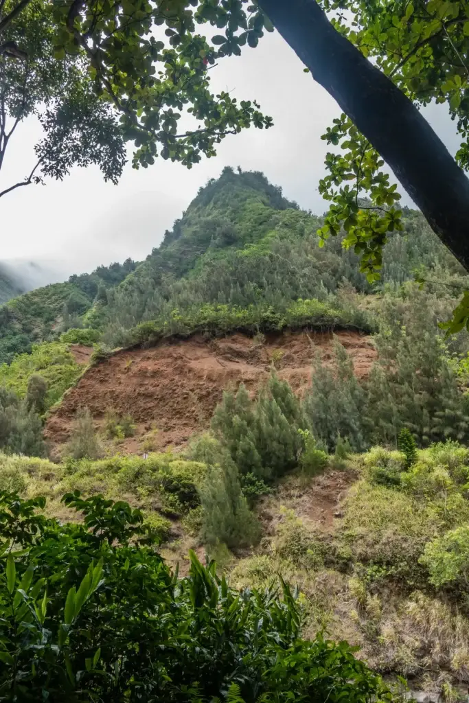 Iao Needle and native vegetation in Maui's mountain landscape