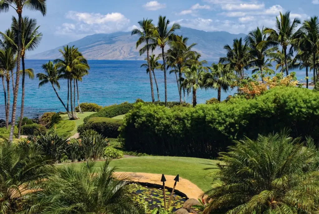 Maui - Hawaii - United States