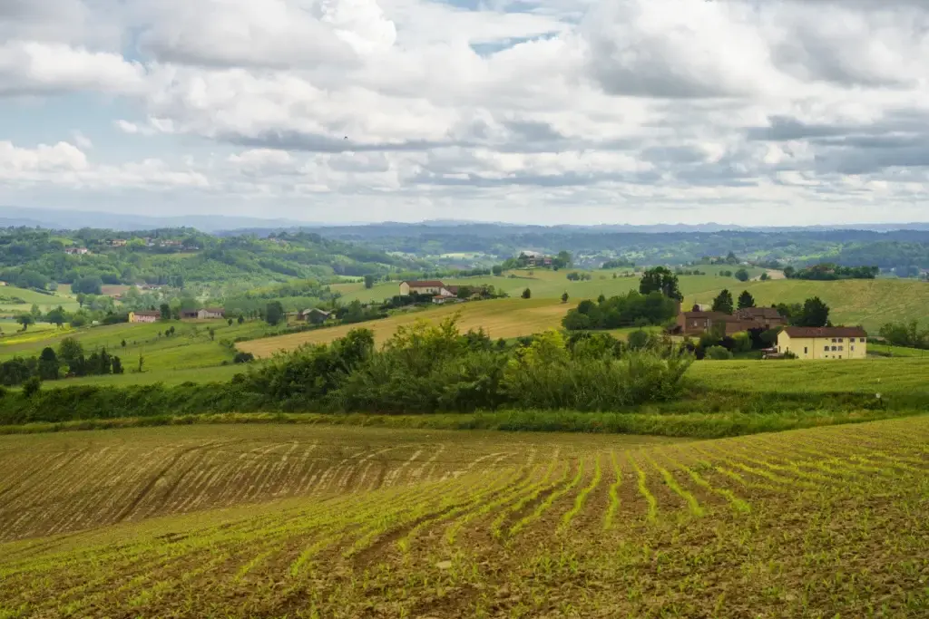 Monferrato vineyard landscape and rolling hills in Piedmont