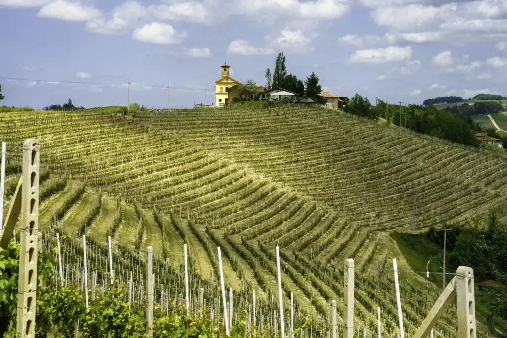 Landscape of Langhe, Piedmont, Italy near Dogliani at May