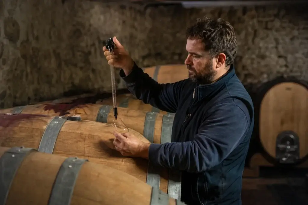Cellar worker checking wine ageing in oak casks in a non-specific Barbaresco craft concept