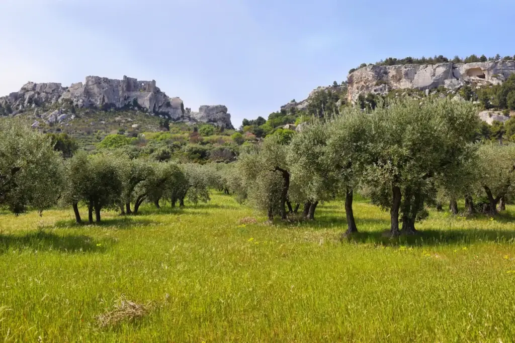 Les Baux and Carrières des Lumières with current access checks