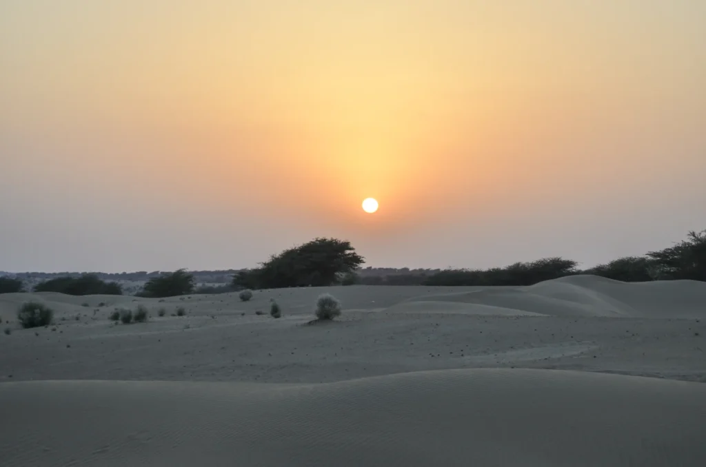 Quiet desert dunes in Rajasthan at sunset