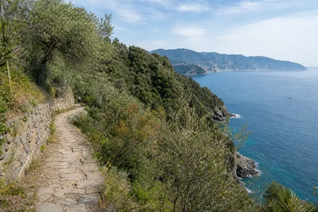 Stone coastal trail through Mediterranean vegetation on the Portofino promontory