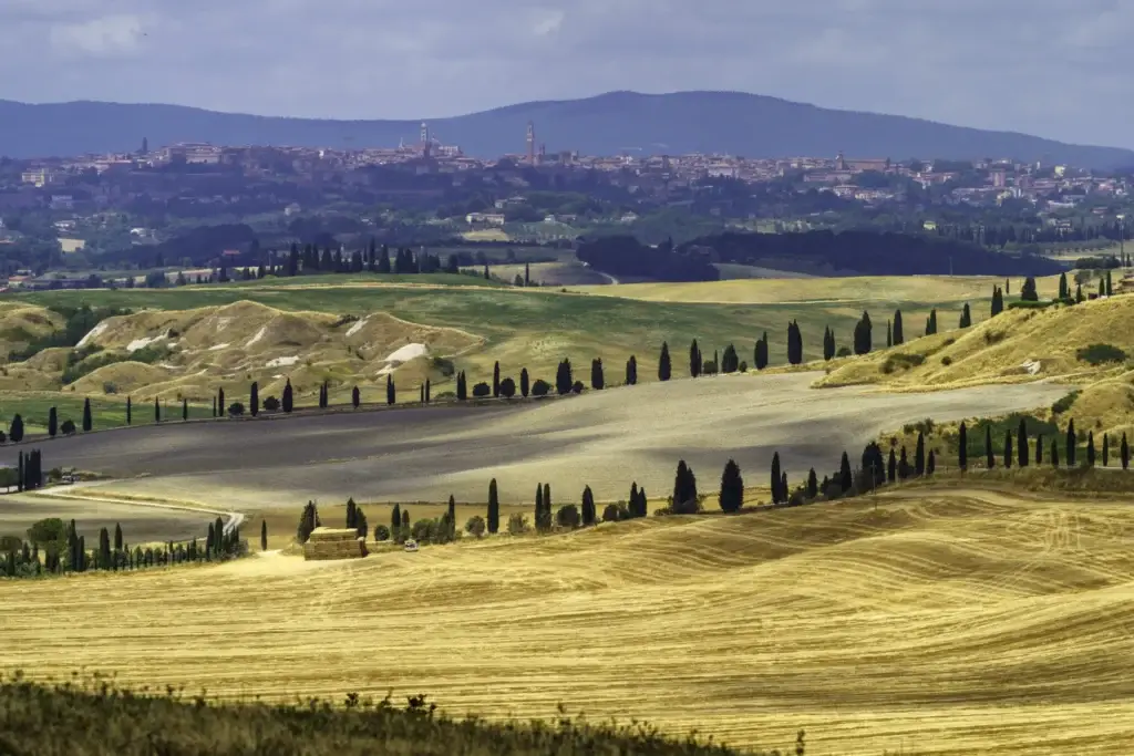 Cypress-lined hills and farmland in Val d'Orcia, Tuscany