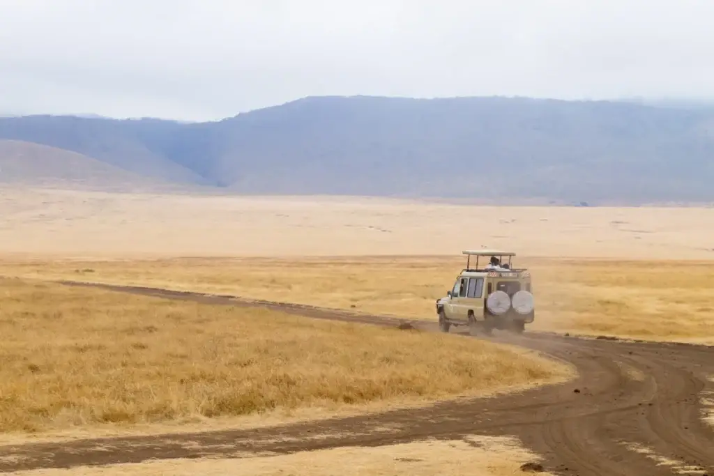 Dirt road descending through the Ngorongoro Crater landscape