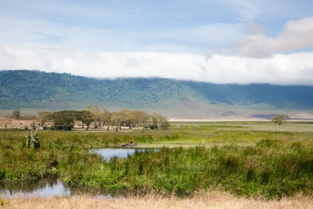 Ngorongoro Crater Beautiful Landscape, Tanzania, Africa. Ngorongoro Conservation Area Panorama