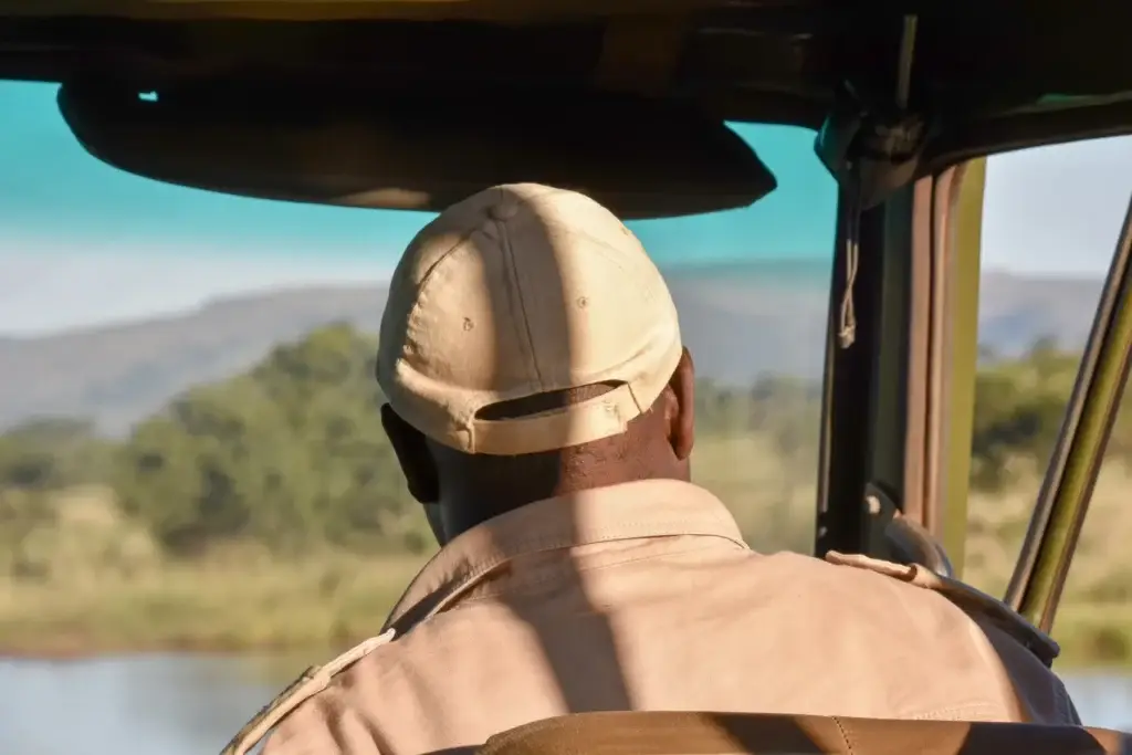 Park ranger observing the landscape from a safari vehicle