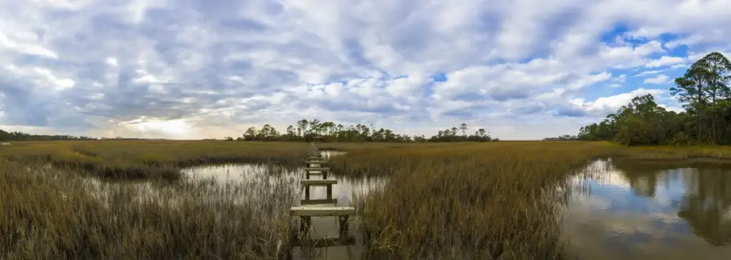 180 degree panorama of South Carolina coast