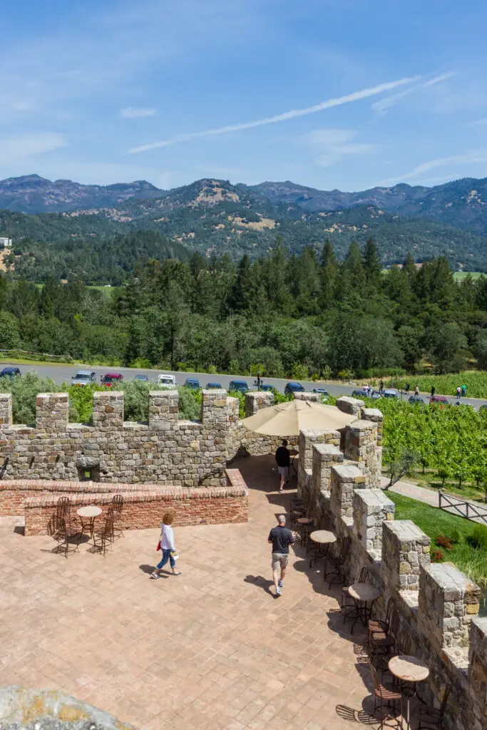 Napa Valley Culture 01
