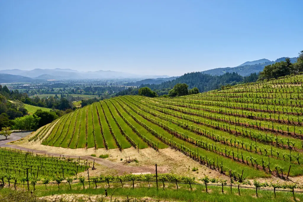 Napa Valley Hero 01