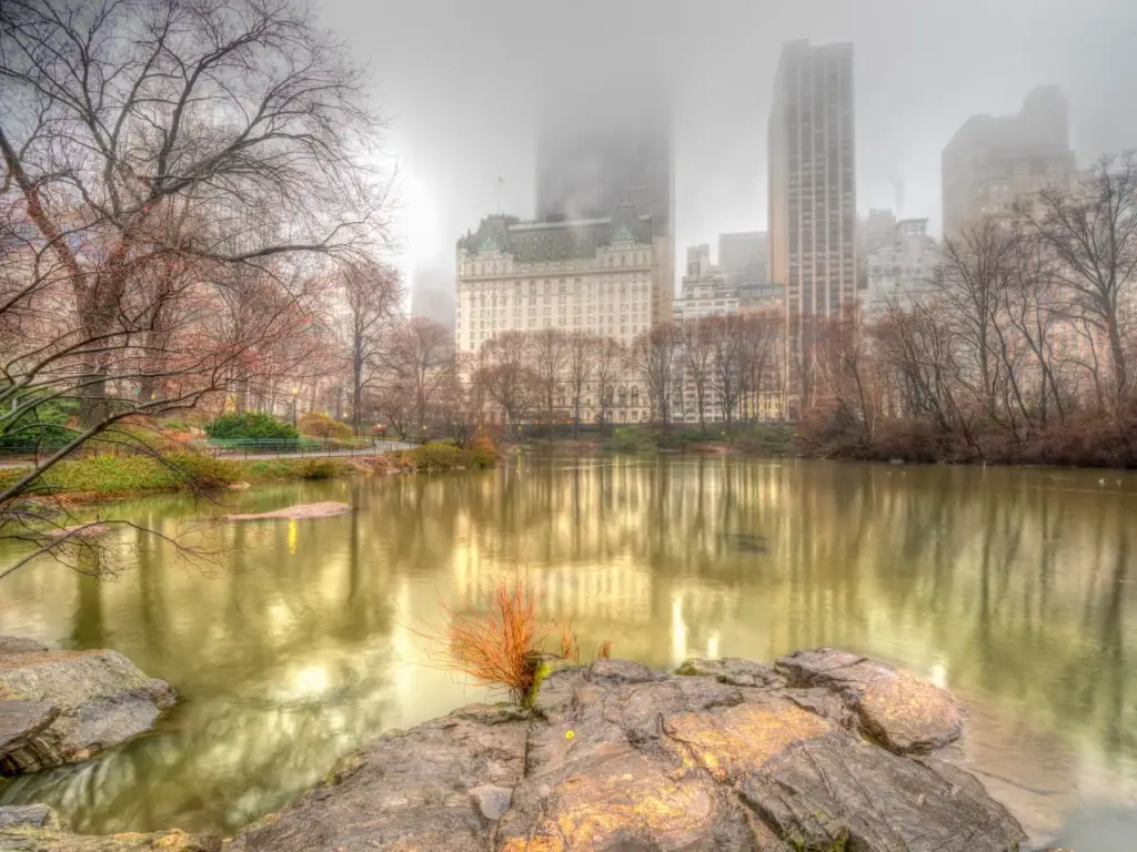 Central Park, At The Lake In Spring A Foggy, Misty Day