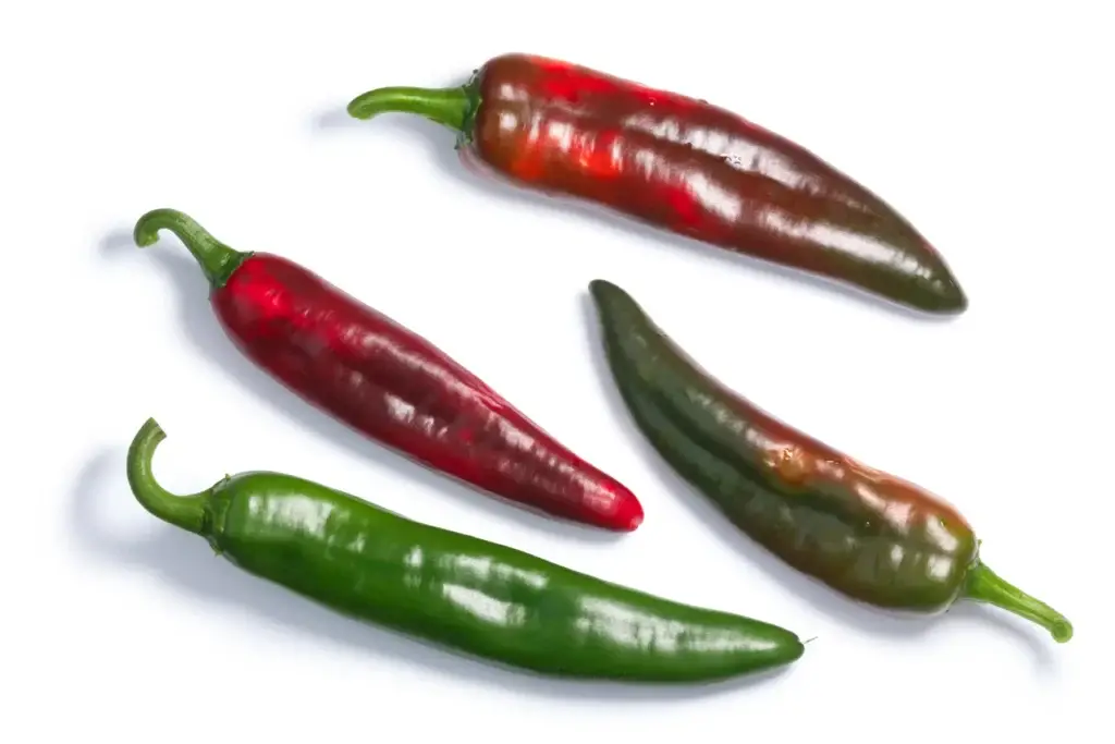 Hatch chile peppers, paths, top