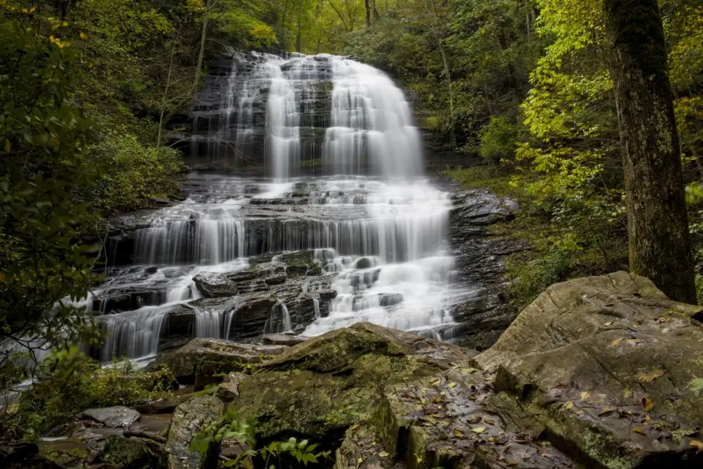 Pisgah National Forest waterfall North Carolina