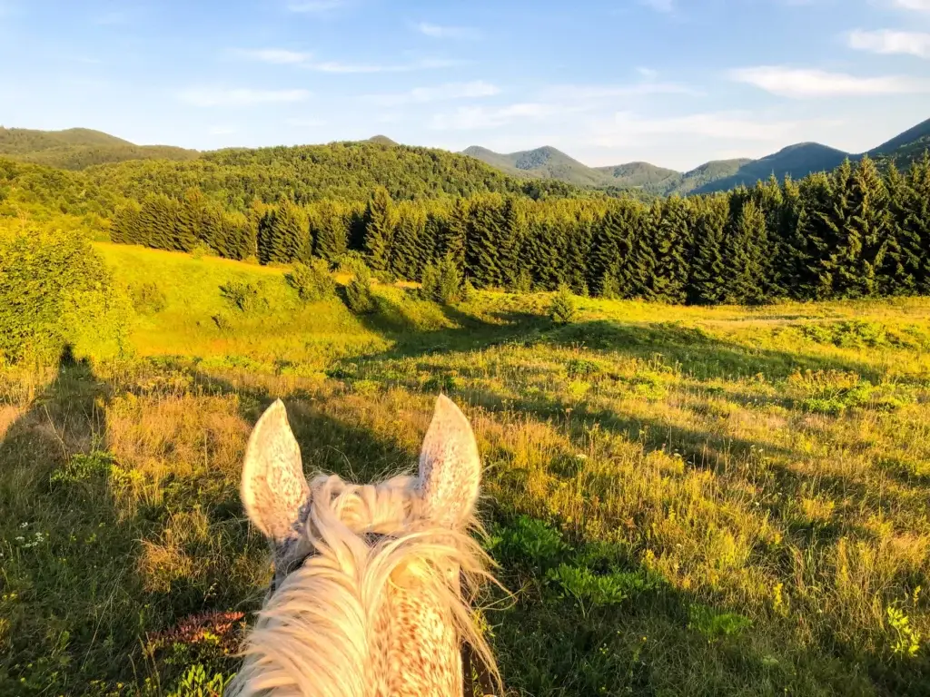 Great Smoky Mountains horseback riding