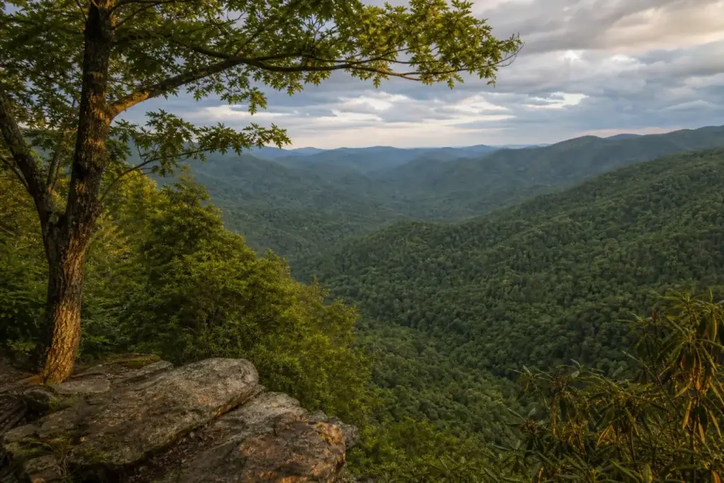 Nantahala forest North Carolina