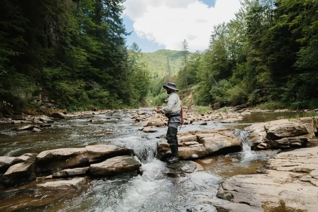 North Carolina mountain trout fly fishing