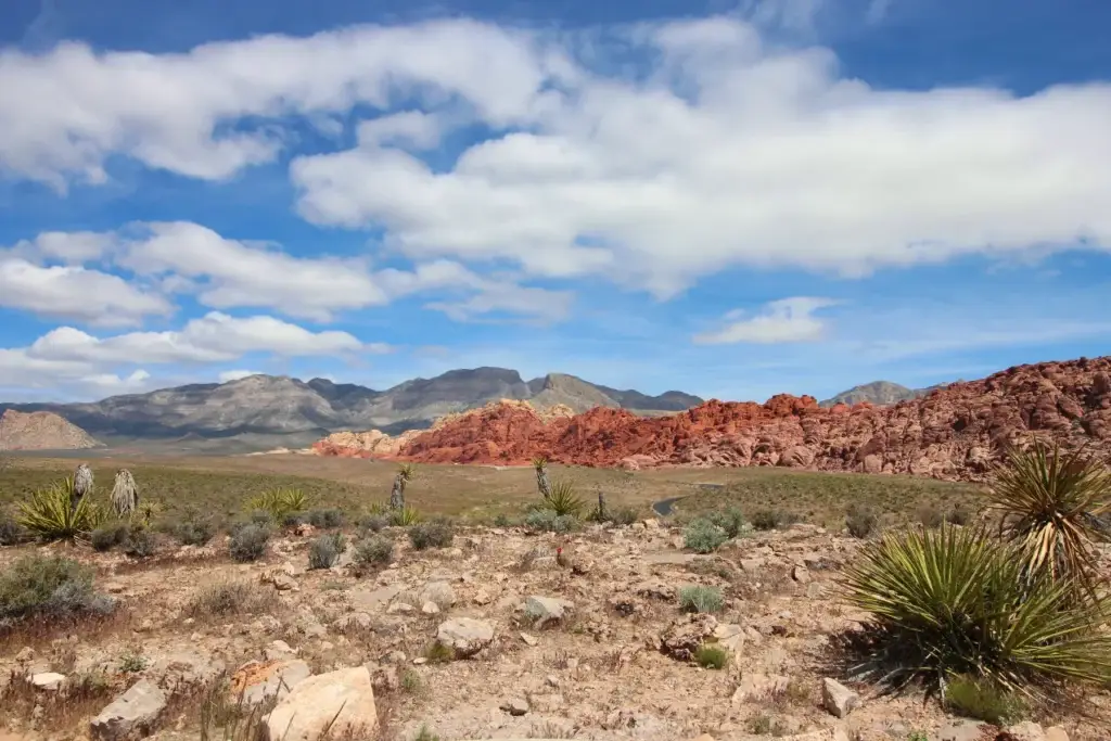 Read Red Rock beyond the scenic drive