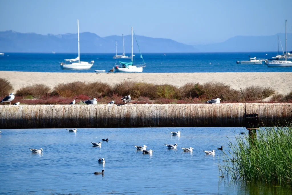 Santa Barbara Channel marine setting