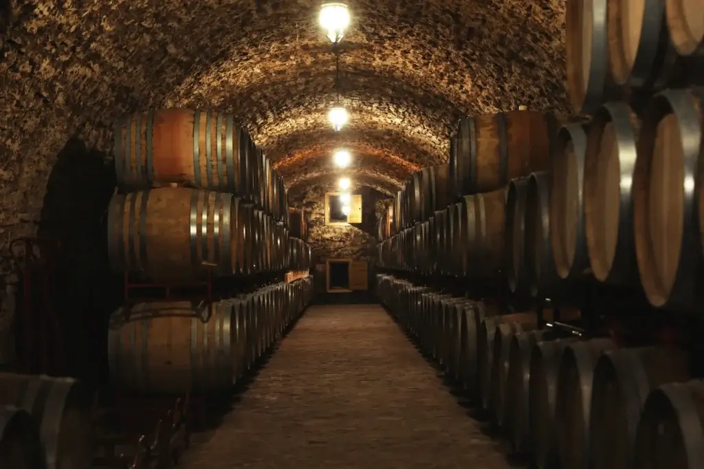 Wine cellar craft or vineyard work in Sonoma County