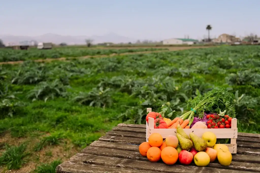 Sonoma County farm produce or chef-led seasonal food
