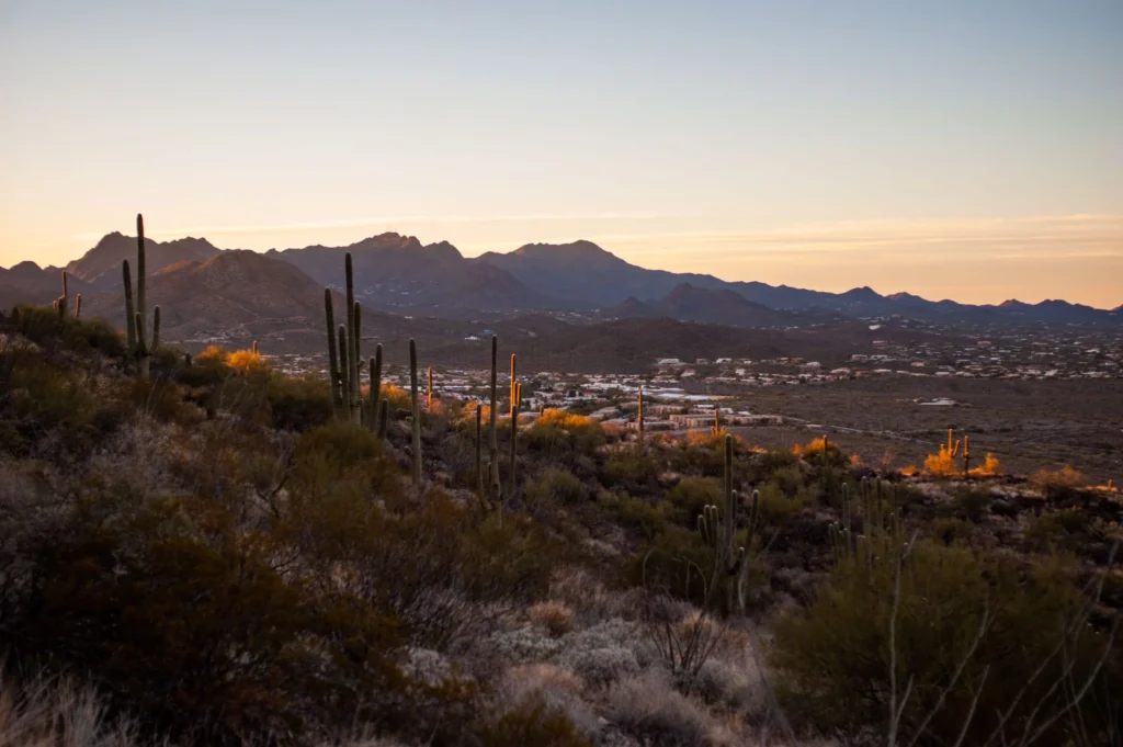 Tucson Sonoran Desert identity