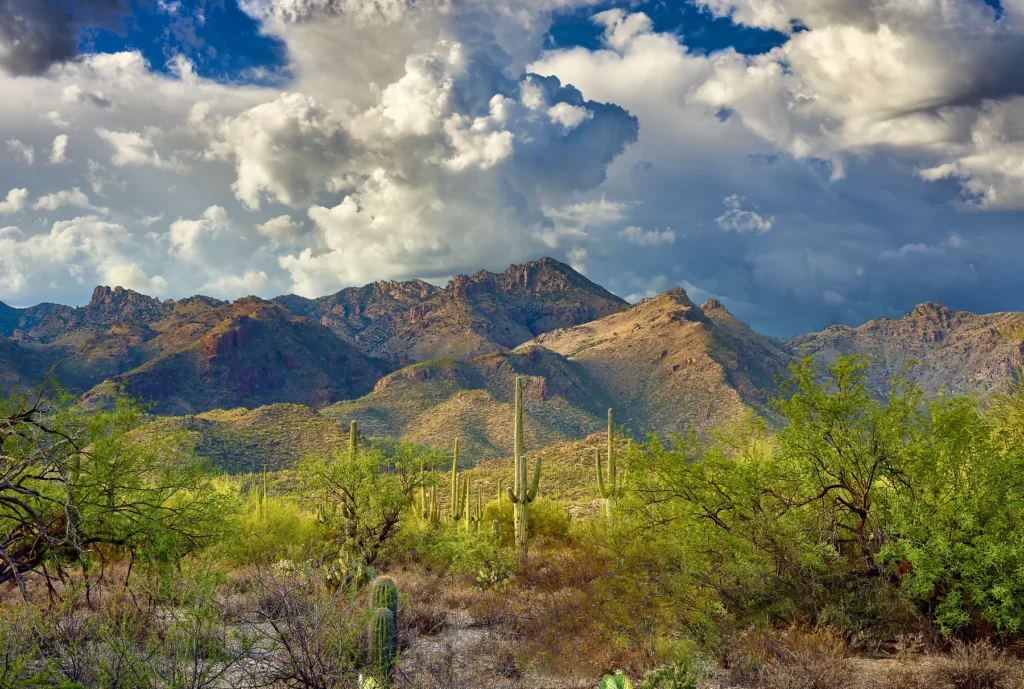 Choose a foothills wellness base