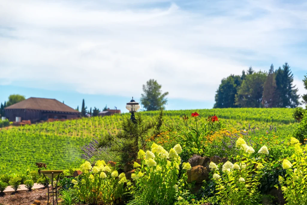 Dundee Oregon wine country