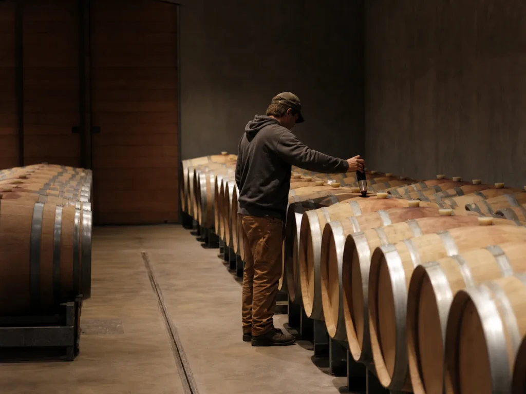 wine cellar barrels and craft