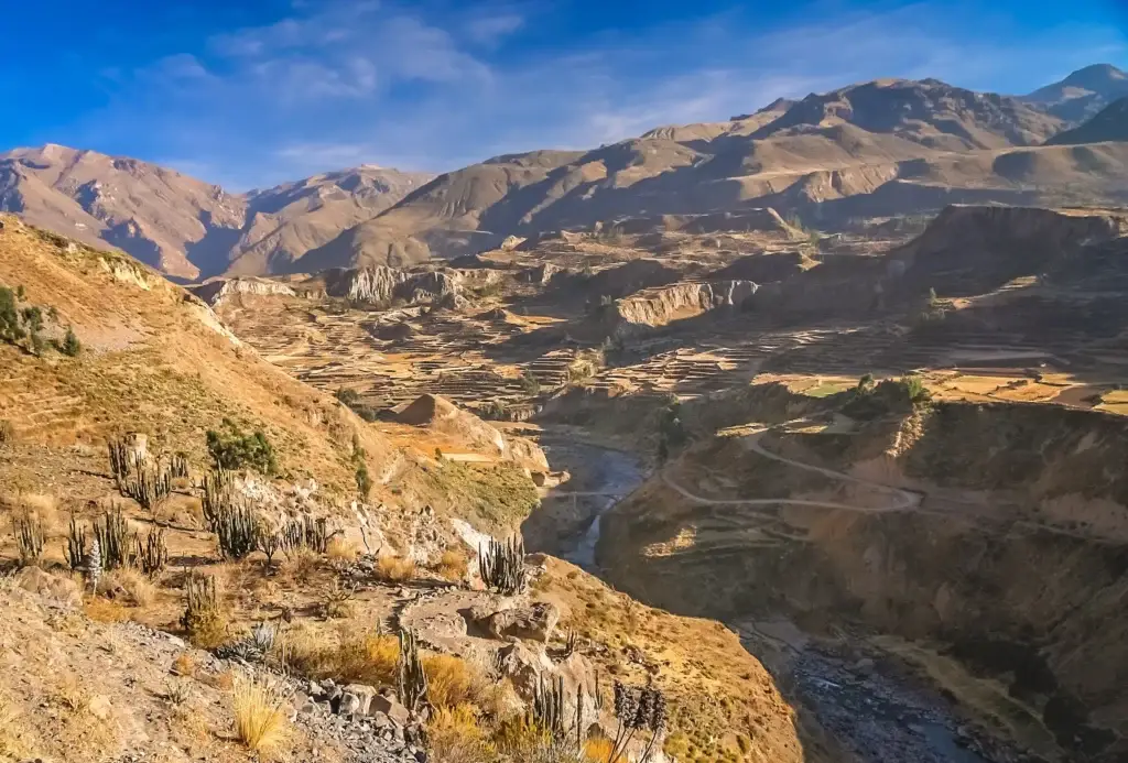 Documented Colca Valley panorama with terraces, canyon and settlement context