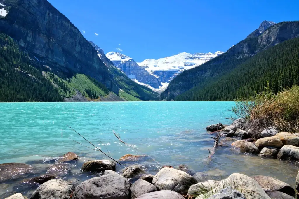 Lake Louise shoreline, Victoria Glacier or a documented Lake Louise trail in safe conditions
