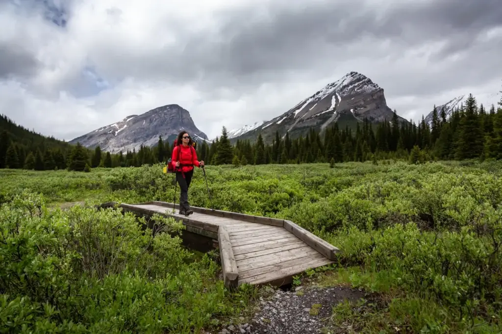 Documented Banff National Park trail with safe mountain-guide or small hiking context