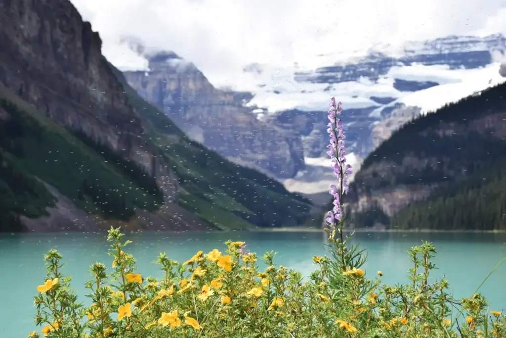 Exact authorized Indigenous-led interpretation at Lake Louise, a documented public cultural setting, or Lake Louise landscape used only as place context